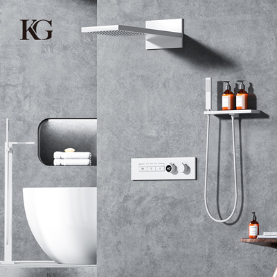 KS503-