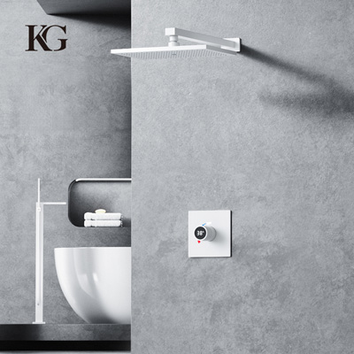 KS101-